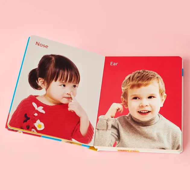 Refurbished my first book of the human body (padded board book) - Image 2