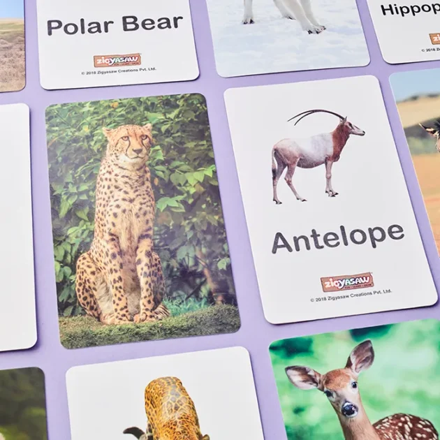 Refurbished Wild animals flash cards - 20 cards - Image 2
