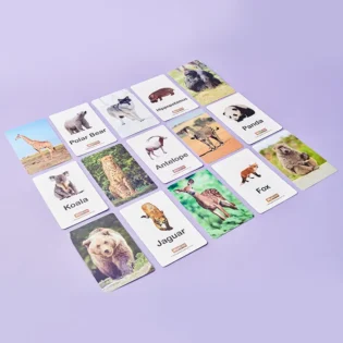 Refurbished Wild Animals Flash Cards - 20 Cards for Kids