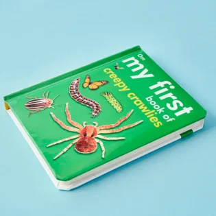Refurbished My First Book of Creepy Crawlies – Bright Bug Picture Book Cover