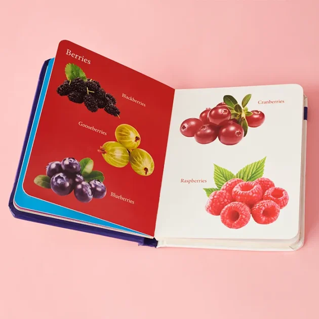Refurbished My First Book of Fruits (Padded Board Book) - Image 2