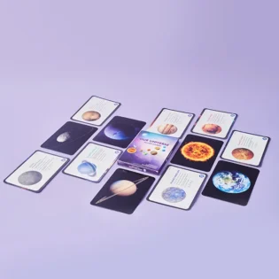 Refurbished Touch & Feel Pets educational flashcards for toddlers and preschoolers
