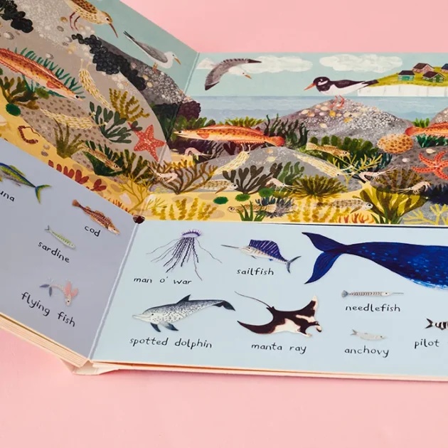 Refurbished There are 101 Sea Creatures in this Book - Image 2