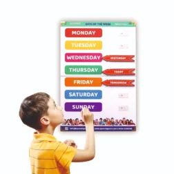 Day Learning Board 1.0 Advance for Teaching Day Concept to Kids