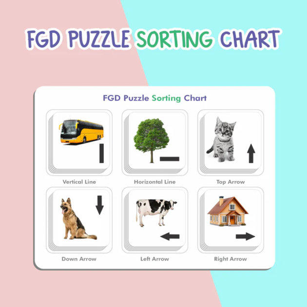 FGD Puzzle - Image 2