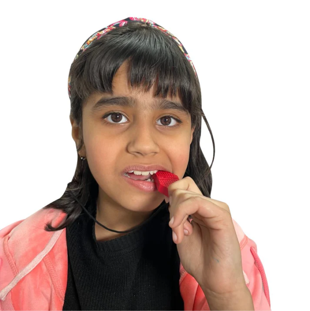 Hickey Red (Medium Soft) oral motor chew tool
