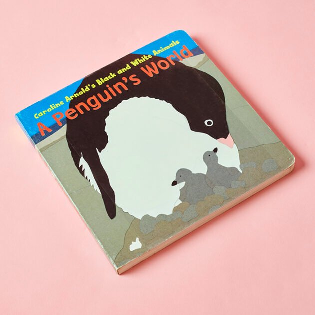 Refurbished A Penguin's World – Illustrated Penguin Storybook for Kids