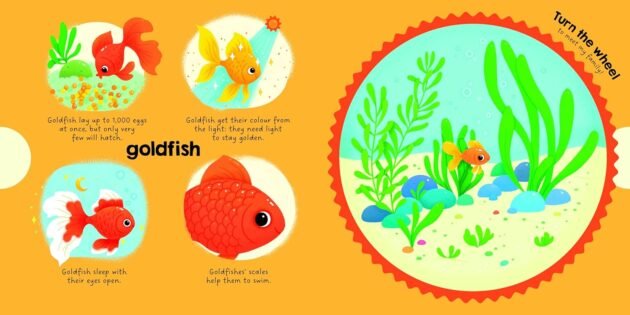 Refurbished My Magic Wheel: Animals Around Me - Image 2