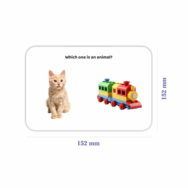 Which Question - Image 3
